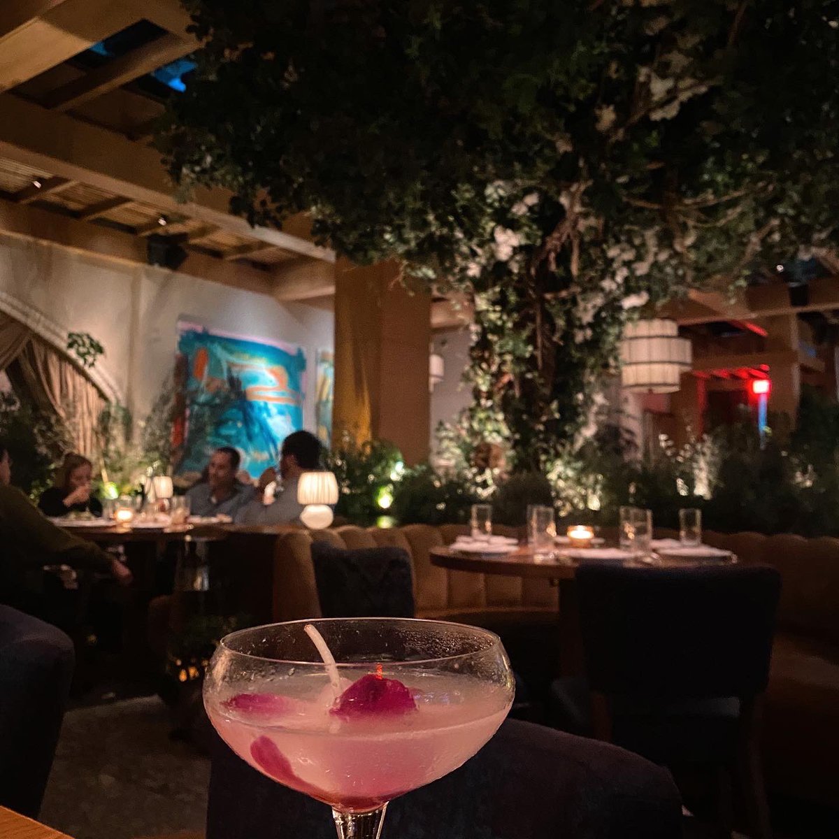 Andrea14johnson's tweet photo. cheers 🍸 https://t.co/OROL1QbuLu