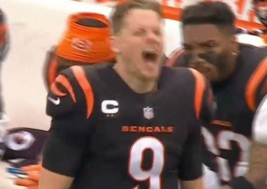 CincyProblems's tweet image. THE BENGALS AGAINST THE WORLD 😤