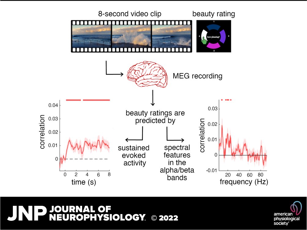 JNeurophysiol's tweet photo. 📖New Rapid Reports in #JNeurophysiol 👉Spectral brain signatures of aesthetic natural perception in the α and β frequency bands by Daniel Kaiser (@kaiserdaniel13)
🖱https://t.co/0zI3ceOdDB
#neuroaesthetics #MEG #NaturalVision #BrainRhythms #Neurophysiology #JNeurophysiol https://t.co/Ecxlbz2RTq