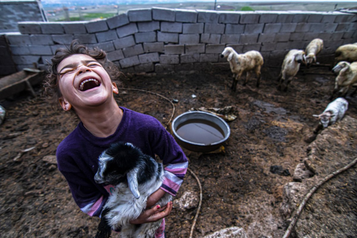 GM\GE\GN 

🚀🚨

I want to sell the first photo of 2023.  Come on support me by RT ❤️🙏

foundation.app/@Cindemirfatih