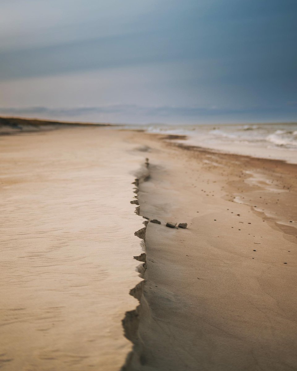 NejauNet's tweet photo. #Preila #Lithuania #Z9 #NikonZ9 #nikkor50mmf12 #nikon50mmf12s #nikonmirrorless #nikoneurope #Lietuva #kaunastic #winter2023 #baltijosjura #balticsea #curonianspit #neringa #curonianspitnationalpark #smelis https://t.co/HMj7bnmH0C