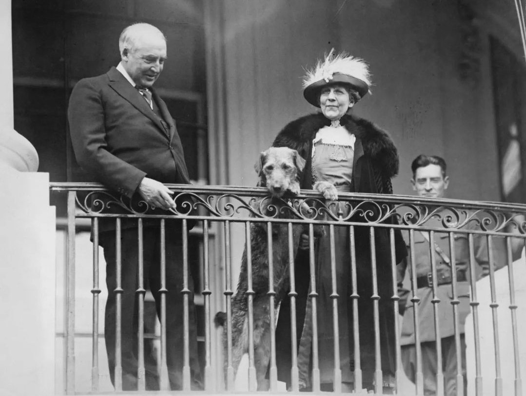 PetsHistorical's tweet photo. Laddie boy with president Warren Harding at the White House.
#dogs #WhiteHouse #president #hiatory #pets https://t.co/C9znML32lS