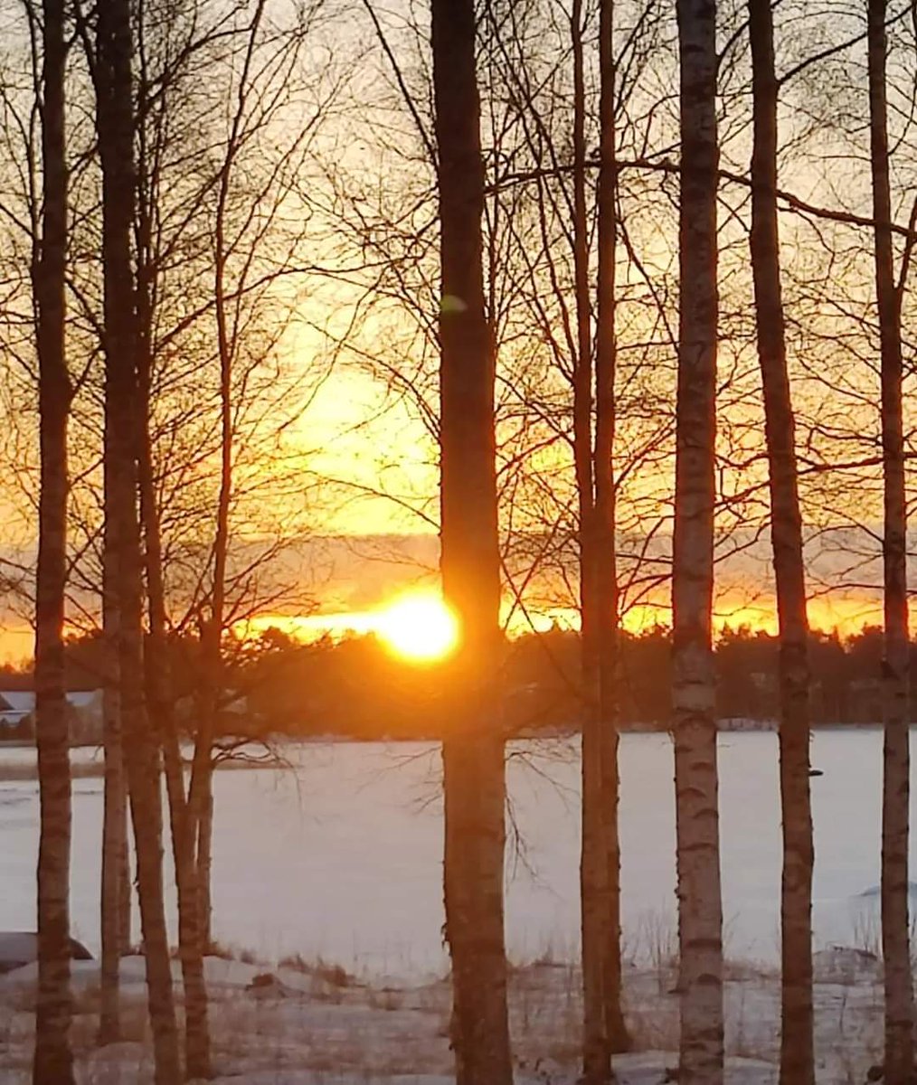 thememma's tweet image. Aurinko ☀️💛🧡 #sunlight #wintertime #feelslikespring #january