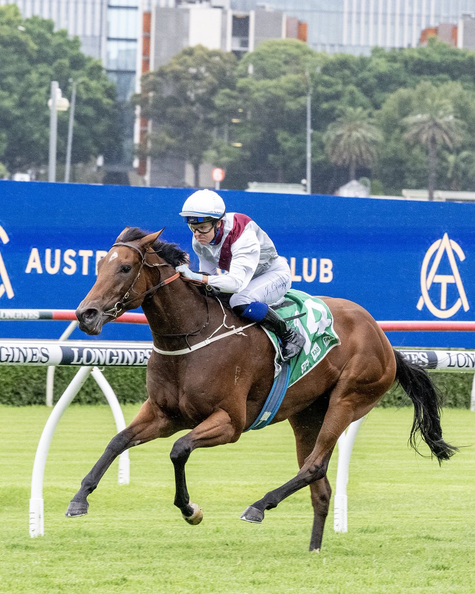 Diamond Dealer brings up her 5th win from 10 starts and a crucial Saturday win at Randwick. A big thrill to win a nice race for our fillies syndicate that we put together in 2020. The mare by <a href="/ArrowfieldStud/">Arrowfield Stud</a> stallion Dundeel was purchased from <a href="/inglis_sales/">Inglis</a> Easter for $200,000.