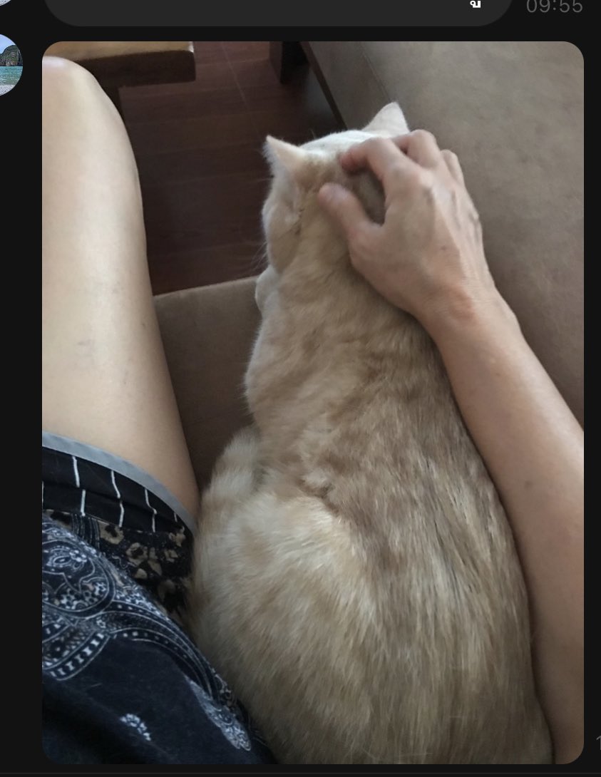 ไอป้องนะ เสาอาทิตตื่นมาไม่เคยจะอยุ่ในห้อง เสนอหน้าลงมาดูทีวีกับยายตลอด