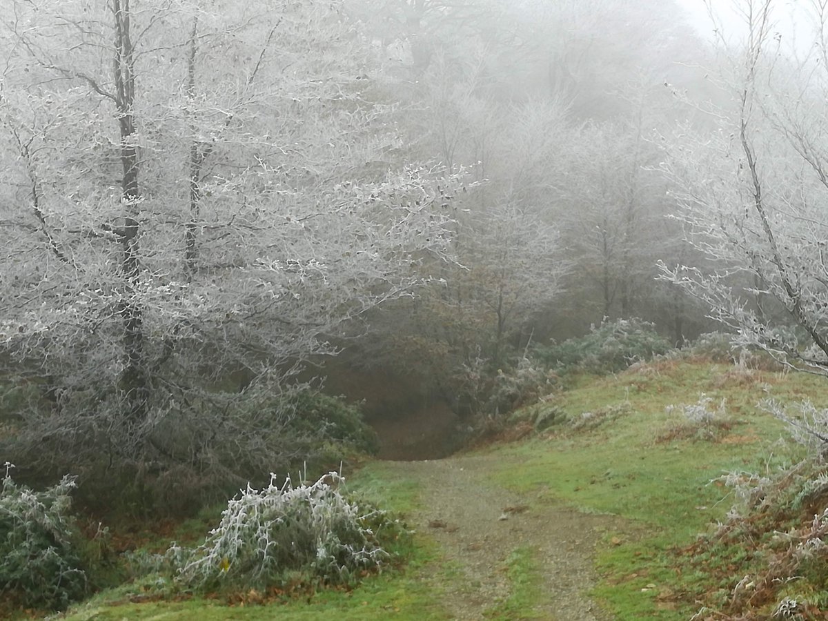 NavarraalNatura's tweet photo. Es frecuente que las idílicas imágenes del invierno nos hagan olvidar la verdadera naturaleza de lo que pasa ahora en nuestros bosques, praderas, valles y montañas. Es uno de los infantiles equívocos que hoy en día se repiten y contagian por doquier:

(Hilo 1/10) https://t.co/B43omhvgr8
