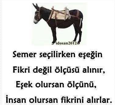 ModaDenis's tweet photo. @niventkurtulus Yalanci alcak cahil kari senin gibi koyunlar salak cahil lerin ne isi olabilir ki satilik hure yalan ci domuz yiyici..!!!! https://t.co/W1BGg6tuRd