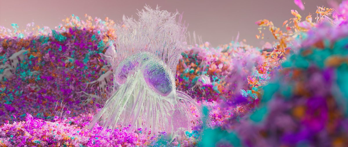 What I see vs what you see
#houdini #redshift