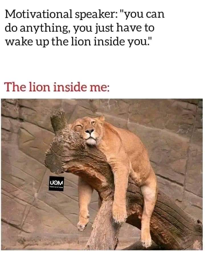 RFagher's tweet image. 👇😂