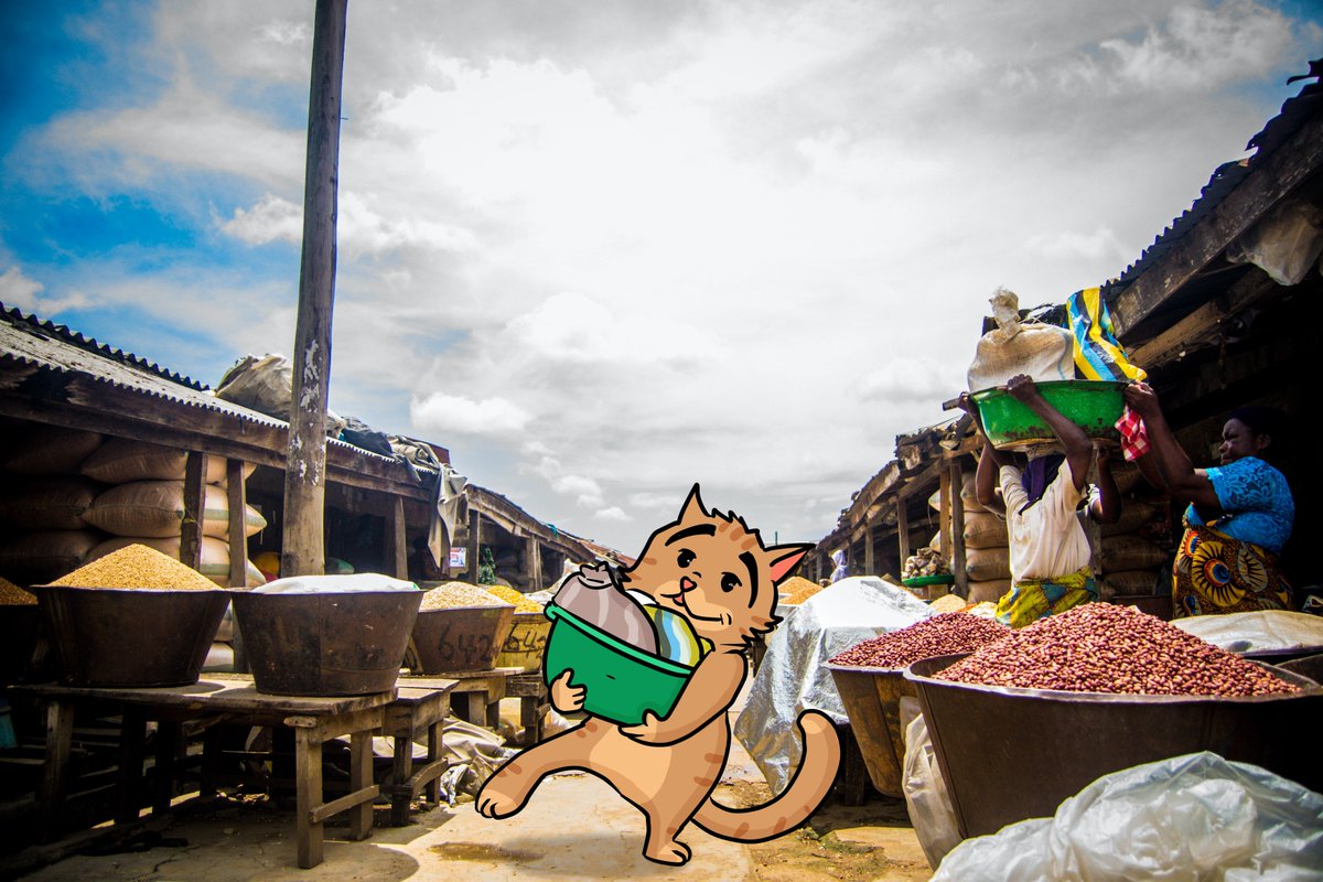 mrtravellercat tweet picture