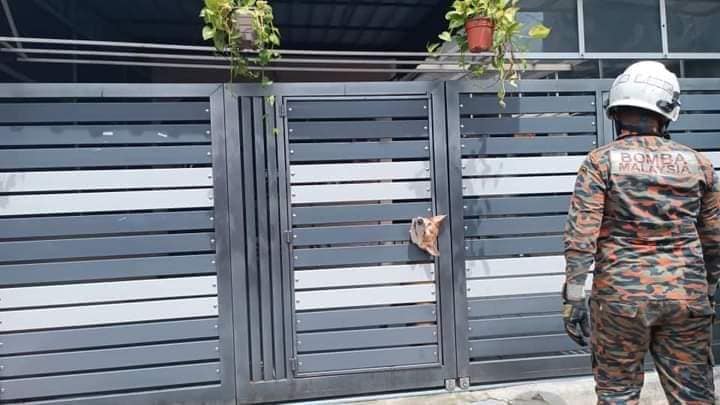 anthraxxxx's tweet photo. Kesian kepala tersepit https://t.co/Nrk2nXMpAC