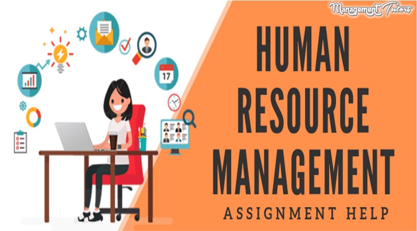 Management Tutors tweet media
