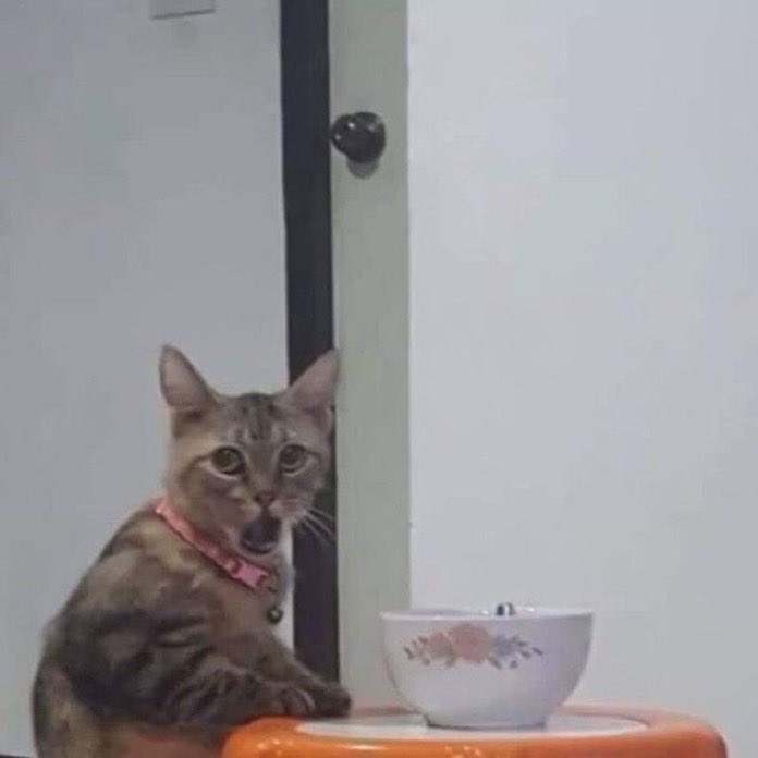 OutofcontextKay's tweet image. Así quedé viendo el chisme de Xavier de Wednesday, qué bueno que yo siempre fui team Enid 😌