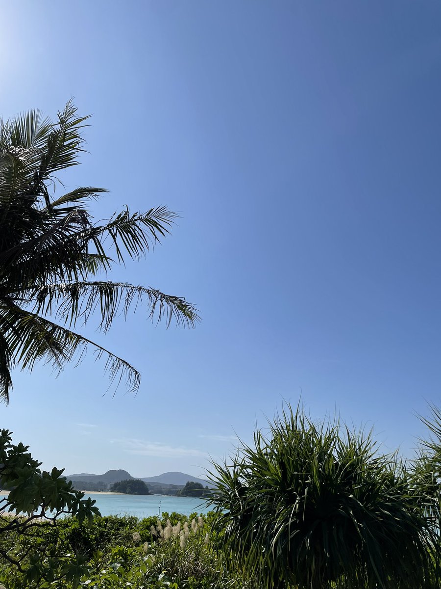 Kelly07251's tweet photo. 沖縄🏝✨
１月の沖縄、気温20℃…
晴れてるとかなり暑い💦
マルタ🇲🇹みたい💕 https://t.co/N8ugHbqPnq