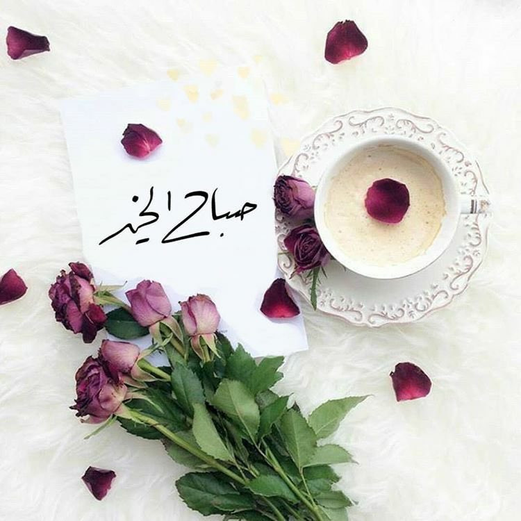 Rawanykh's tweet photo. #صباحية 

صباح يحمل في باطن سماه ألف أمنية، صباح أستعيذ فِيه ربي من كل ضر، وأسأله الخير، والتوفيق، والنجاح في كل درب لي ولكم ، https://t.co/tLwSL6MeWV
