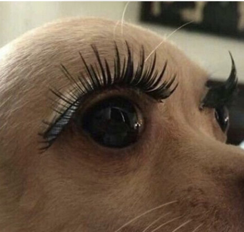 _Glamhenry's tweet photo. I need some explanation on why you left the space between your faux lashes and lash line https://t.co/kJ1Cg8KGGq