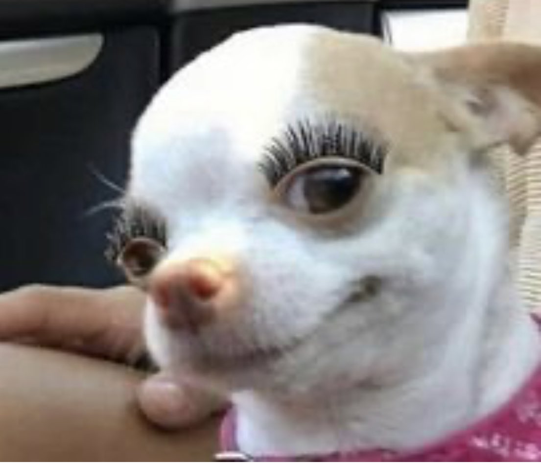 _Glamhenry's tweet photo. I need some explanation on why you left the space between your faux lashes and lash line https://t.co/kJ1Cg8KGGq