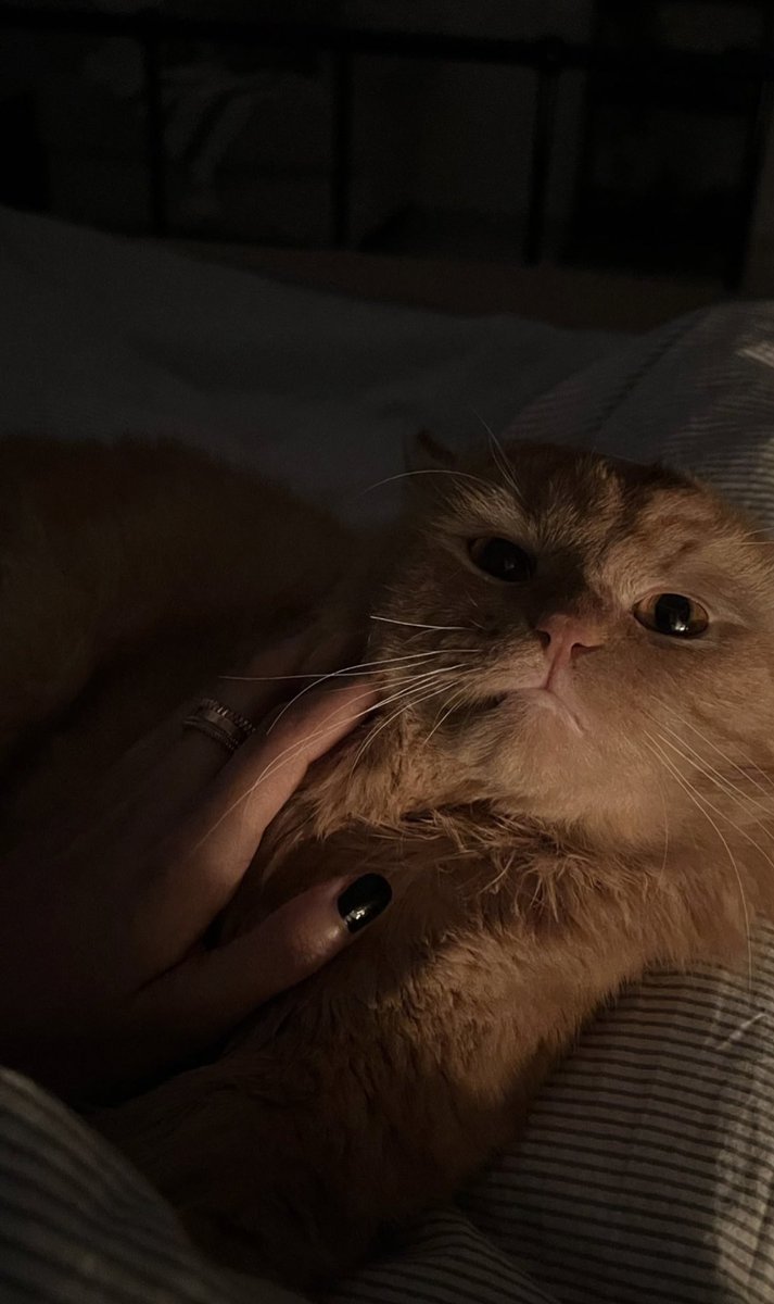 اعترف ان مخدتي مبلوله من الدموع من خوفي بيوم من الايام بفقده