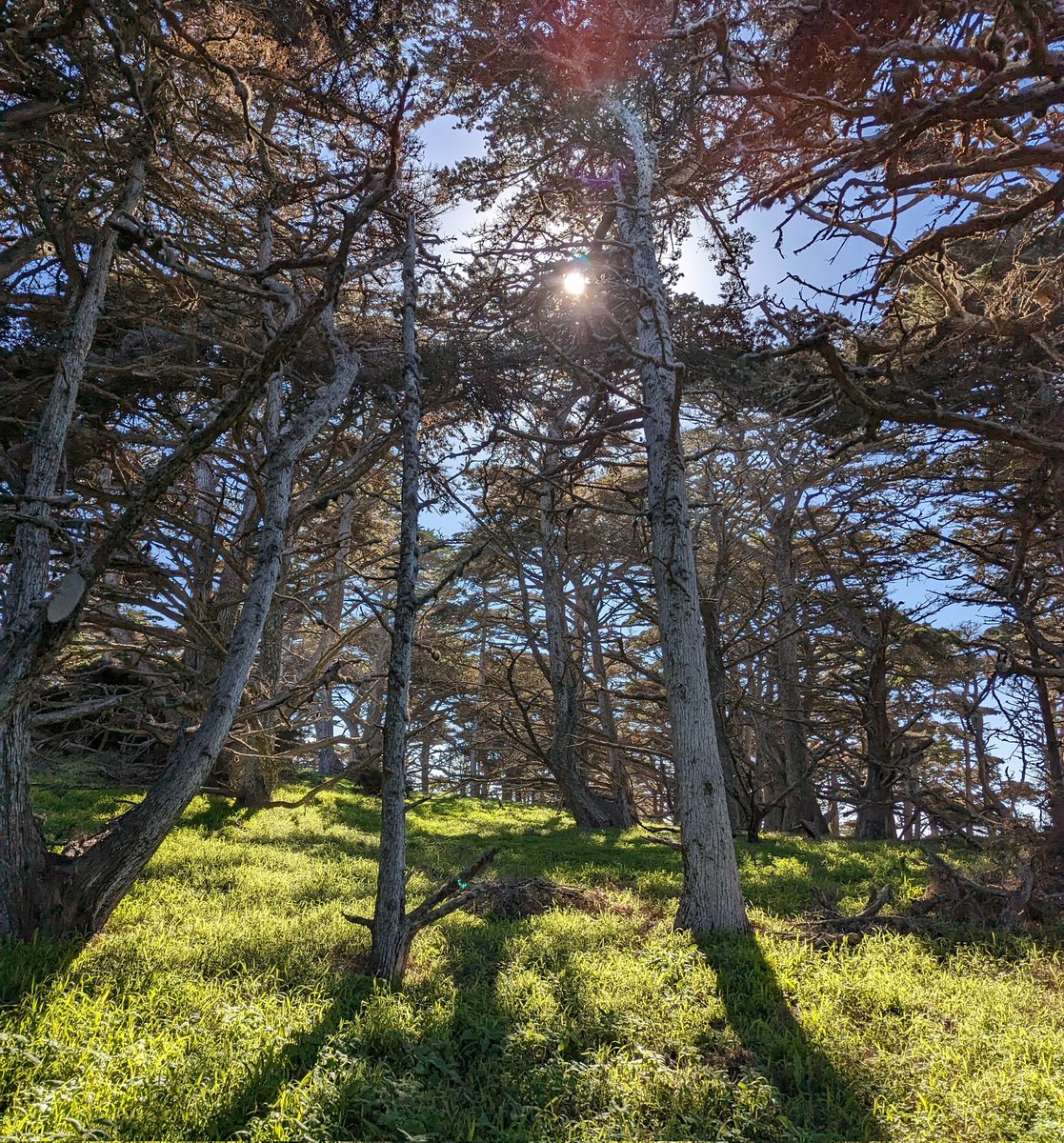 Michael Rumiantsau tweet media