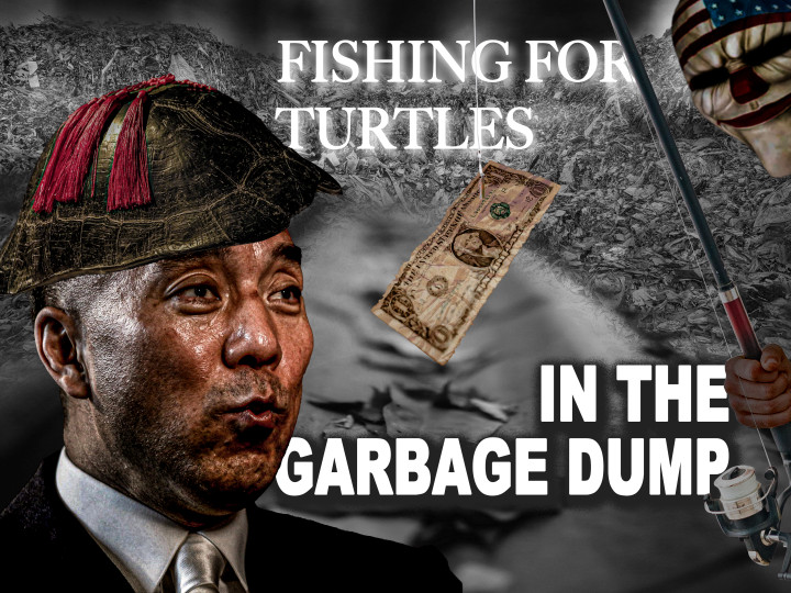 NZGDGC's tweet image. 瘟龟躲在乌龟壳下，绿豆一样的眼睛，贪婪的盯着美元，这是谁在钓乌龟啊😆😆😆