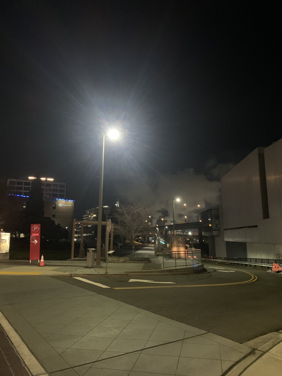 FlashlightLife's tweet image. #monkeyshines2023 there’s a prize on the tracks