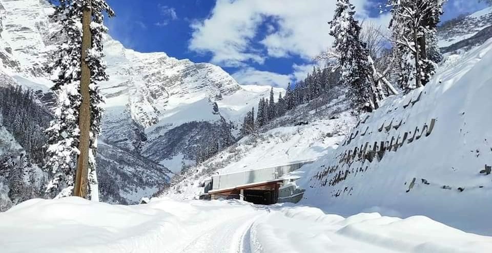 Beautiful view after Snowfall 
Call Toll Free for Tour package-8080809087 
.
.
.
#IndianTravelStore #snowfall #snowfall2023 #travelplans #traveldeals #tourpackages #travelpackages #bestdeals #tourdeals #snowfallinhimachal #snowfallinmanali #manali #rohtang #ataltunnel