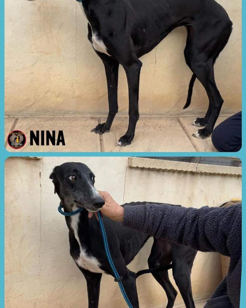 SHUG on Twitter "As we start planning this year’s transports