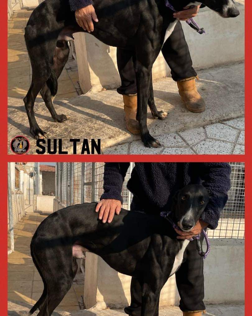 SHUG on Twitter "As we start planning this year’s transports