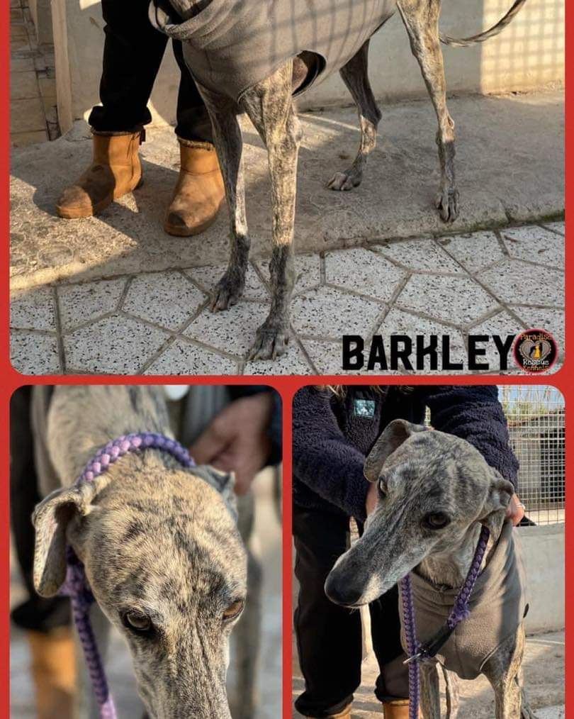 SHUG on Twitter "As we start planning this year’s transports