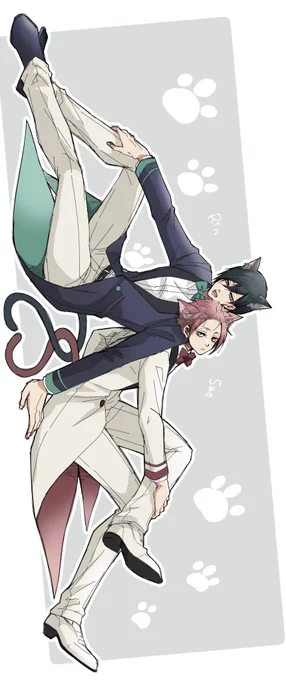猫itsきゃわわ〜〜 