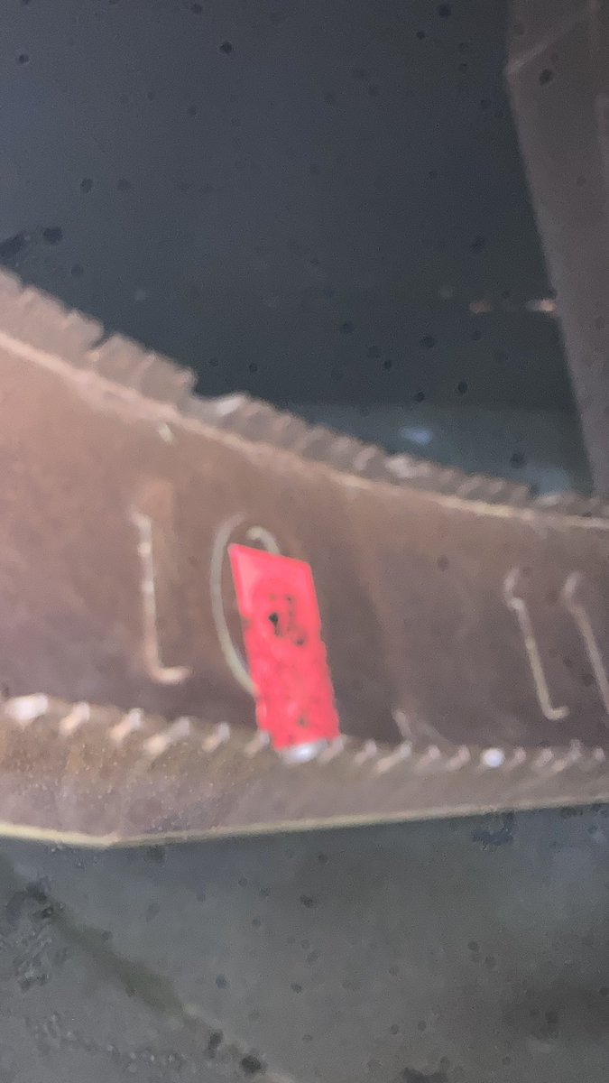 sunmonkey9's tweet image. #monkeyshine2023