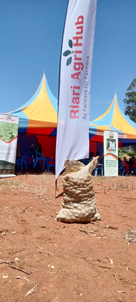 RiariAgriHub's tweet photo. Potato farmers from Nyandarua County attended our field day in Mawingu, Tumaini.
We enjoyed learning and interacting with farmers in the demo farm.
Partners present were @KephisKe @NyandaruaCG018 
Thank you for honouring our invitation.
#ByFarmersForFarmers
#CertifiedSeedPotatoes https://t.co/8xU5VosCZ8