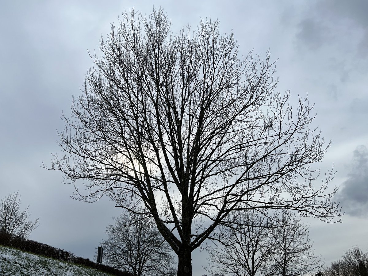 Ich stecke gerade in einer sehr belastenden Lebenssituation. 
Ich bin für eine Weile #twoff 
Bitte keine DM.