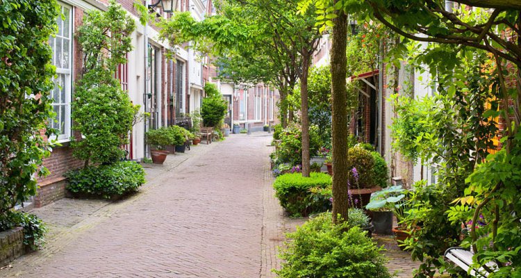 marcoderksen's tweet photo. Mooi thema deze week in de NRC-nieuwsbrief Future Affairs, het belang van groen in de stad: goed voor de biodiversiteit, luchtkwaliteit, het zorgt voor minder geluidsoverlast en verkoelt in sommige gevallen tot wel 20 graden tijdens hitte. #groenindestad https://t.co/E1Z7KFE41a https://t.co/trBQtzJuWp