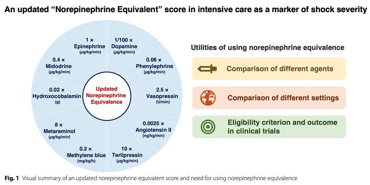 ✅Updated norepinephrine equivalent score How can you compare the potency of the following vasopressors? 1️⃣Norepinephrine: 0.2 μg/kg/min 2️⃣Vasopressin: 0.04 U/min 3️⃣Angiotensin II: 20 ng/kg/min Our new publication gives you the answer👇 🔓link.springer.com/content/pdf/10… #FOAMcc