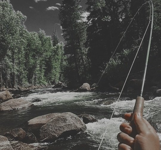 Bukan_Alpukat's tweet photo. GreShan AU

🎣 ᴍᴀɴᴄɪɴɢ ᴍᴀɴɪᴀᴀᴀ 🎣

"𝐀𝐦𝐛𝐢𝐥 𝐮𝐦𝐩𝐚𝐧, 𝐥𝐞𝐦𝐩𝐚𝐫 𝐤𝐚𝐢𝐥, 𝐬𝐭𝐫𝐢𝐤𝐞!" https://t.co/9tmGqaIiAn