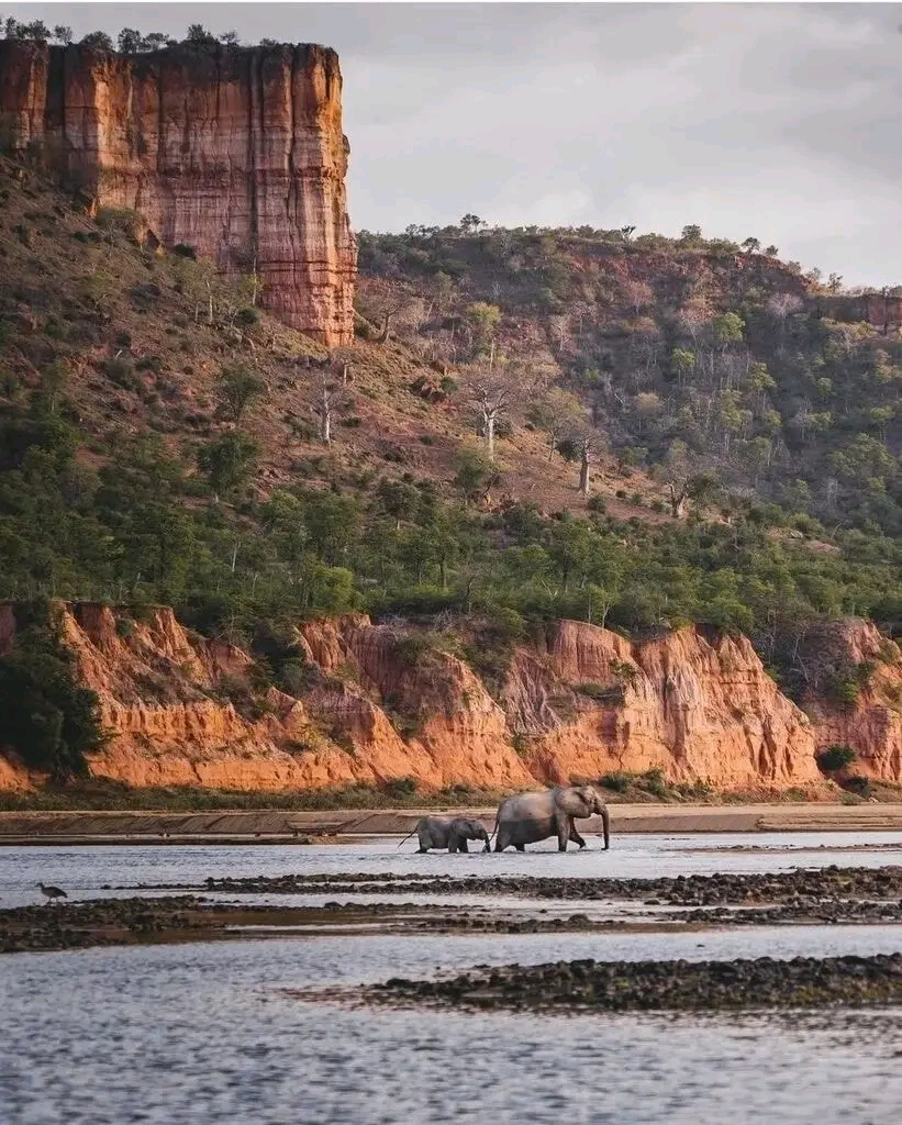 Gonarezhou
#HomeofElephants
This the other beauty of Zimbabwe that is not only amazing with Elephants, but with its geological formation and all the processes that took place before.