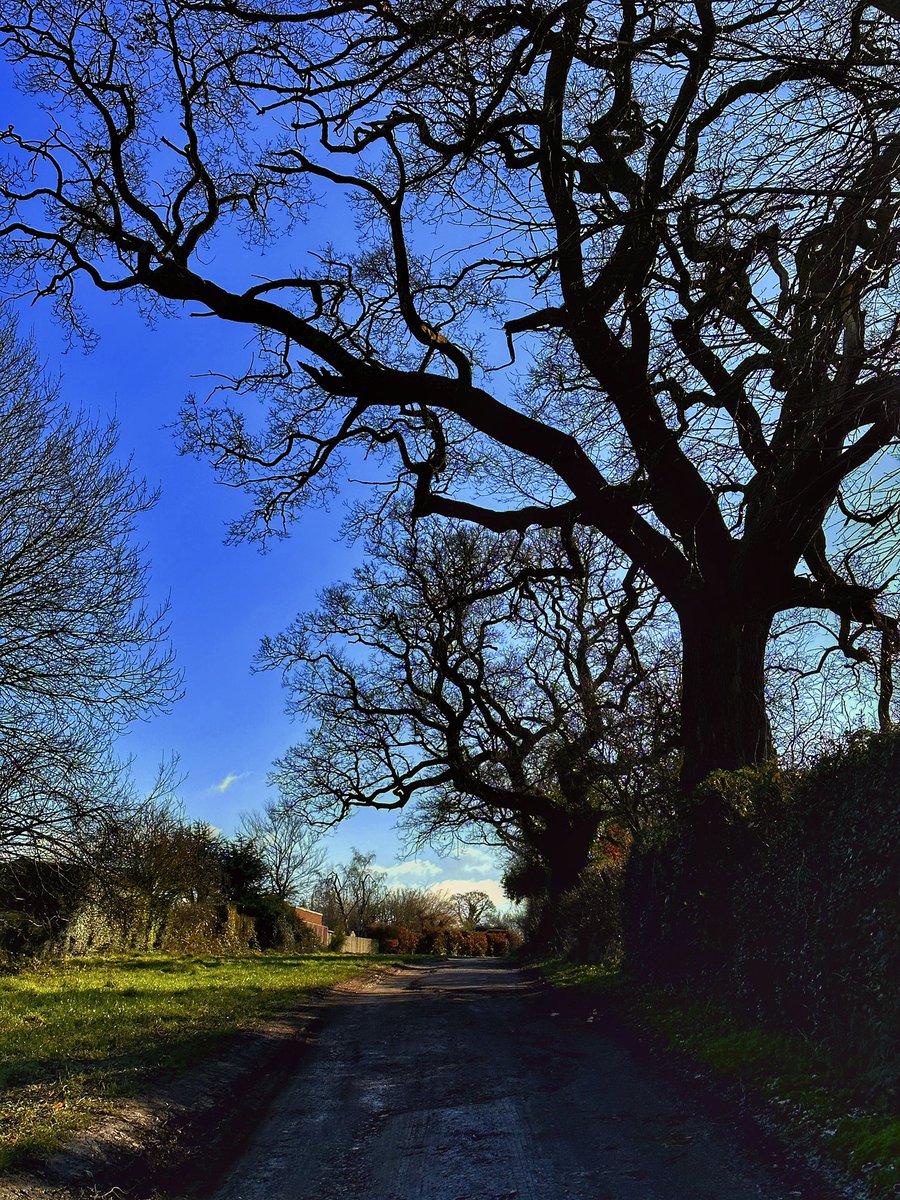 gemmak500's tweet photo. Twisted.
#chesham #chilterns #buckinghamshire #aonb #ice #frost #winter #cold #subzero #walking #fitness #aw #applewatch #frozen #tree #icy #nature #naturephotography #naturelovers #iphonephotography #iphone14pro #field #farm #twisted #twistedtree #countryside https://t.co/azmIIallz7