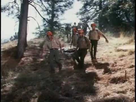 FrankMalfitano's tweet photo. FORGOTTEN TV SHOWS: SIERRA, 1974 NBC #Sierra #tvshow #nationalparks #rangers #NBC #1970s #JamesGRichardson #ErnestThompson #MichaelWarren #SusanFoster #JackHogan #rescueteam #JackWebb #forgottentvshows https://t.co/eUEnMuS3dv