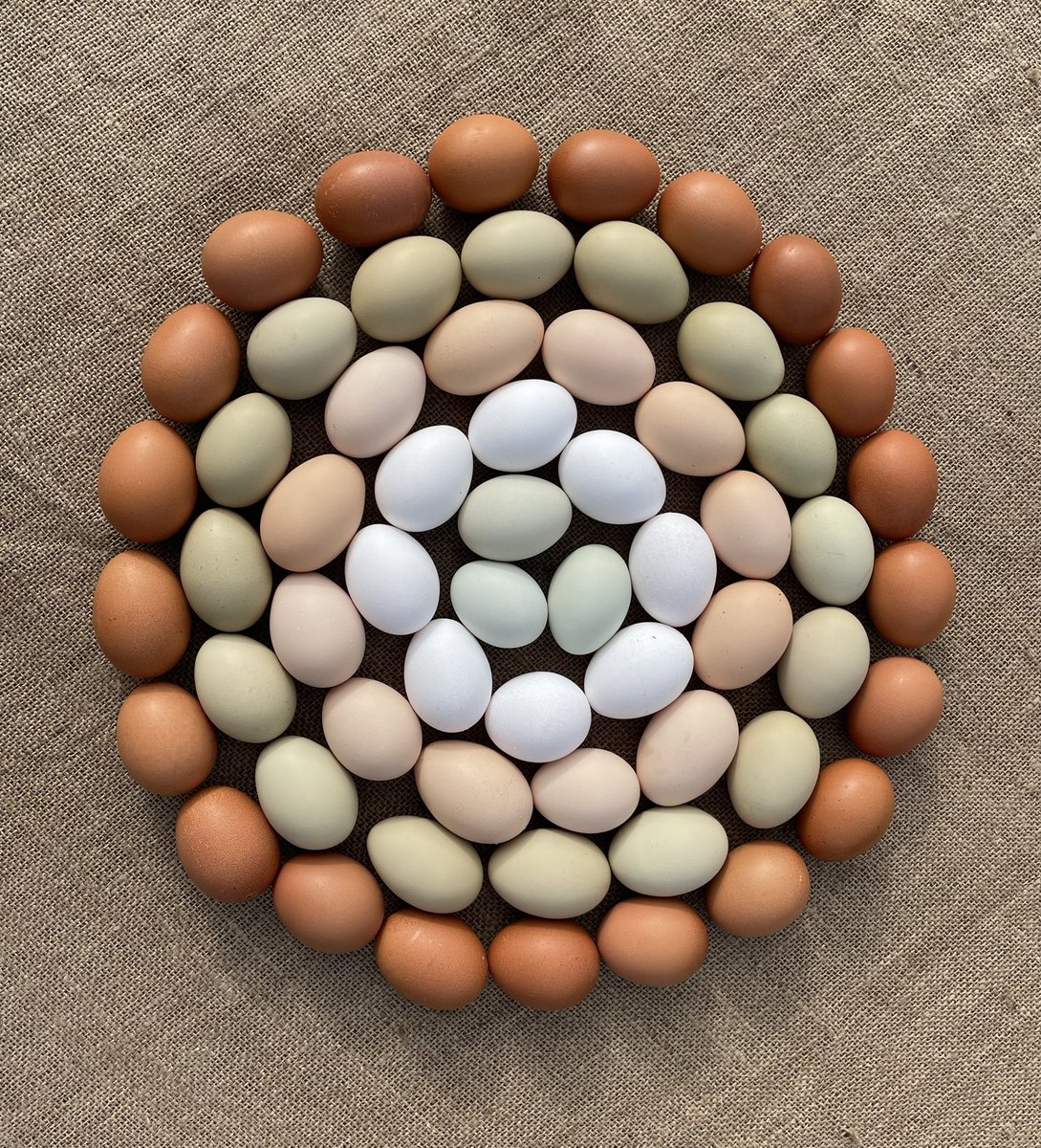BeechwoodEggs's tweet photo. It’s @ReadingFarmMkt TODAY! Sat 21st Jan! Come and see us! ❤️🥚❤️#Reading #Market #Food #Foodie #Eggs #FreshAndLocal #WestBerks #InReading #Rdg https://t.co/JUGKsCiJm3