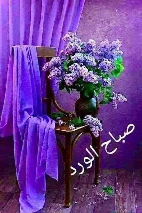 عمار وهدئ (@mar_whdy) on Twitter photo 