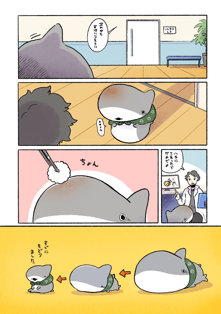 子ザメと虫刺され 