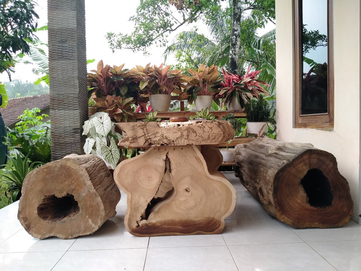 Kayune podo bolong