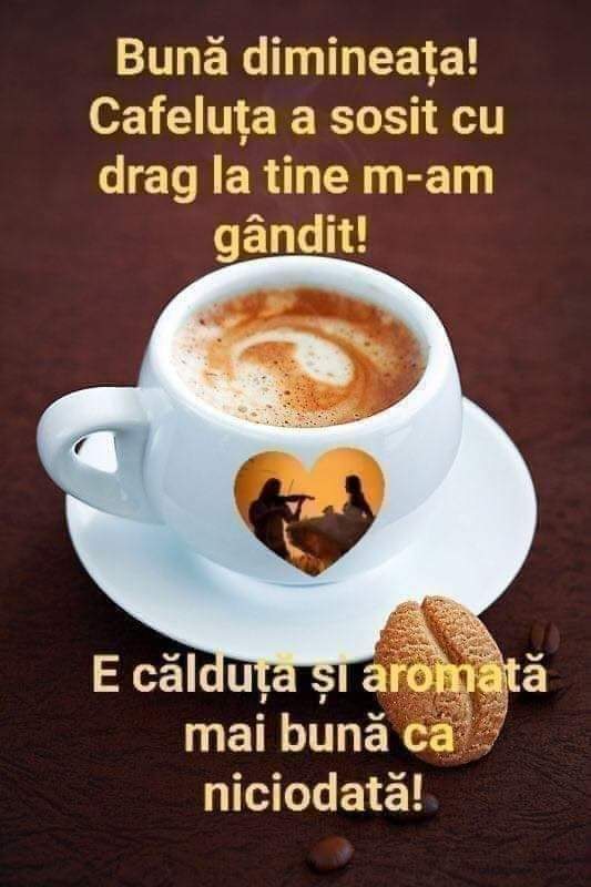 simijun2's tweet photo. @nikolccn Bună dimineața 😘😘😘 https://t.co/lhx9WgLVtI