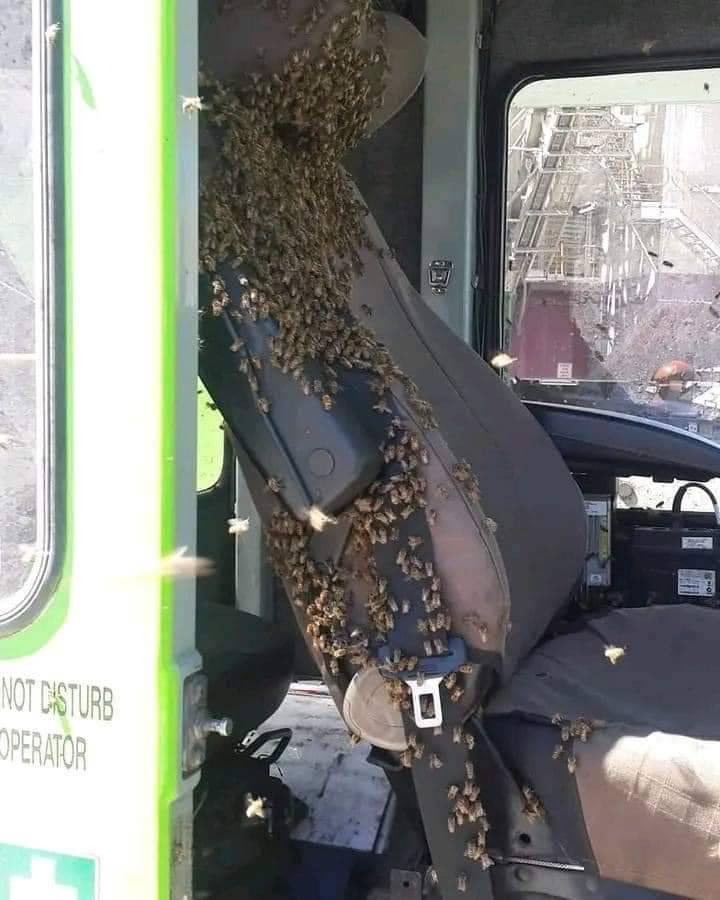 Old driver fired for being lazy, I was given his truck and I find this