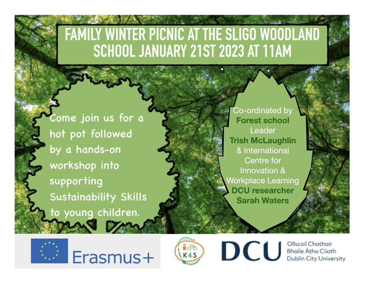 Really looking forward to hosting our @EUErasmusPlus  @DCU_IoE @DCU @DCU_SEIGS  event in @sligotourism today. Cold out there but the woodland is crispy and inviting nevertheless.