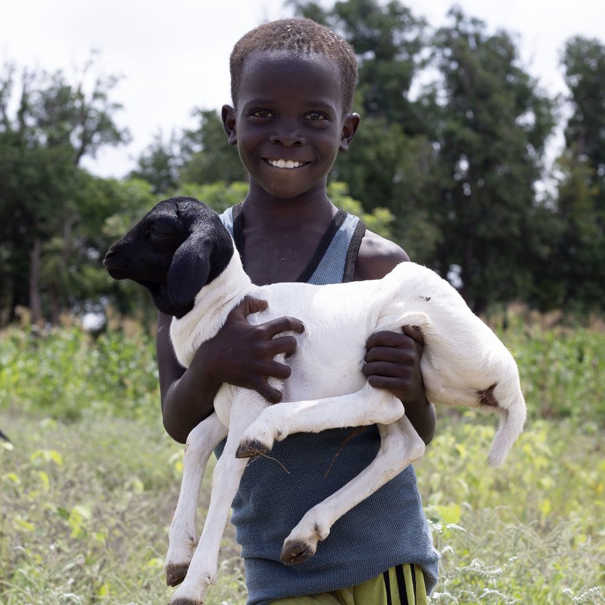 FAOSomalia's tweet photo. With support from @Sida, the BRiMS project in Somalia is helping rural farmers by strengthening local cooperatives, irrigation &amp; climate smart agriculture. 

With greater food security, farmers are better equipped to face the challenges of tomorrow.

📷 https://t.co/AUFNk1xNYe https://t.co/sVnMTKthnC