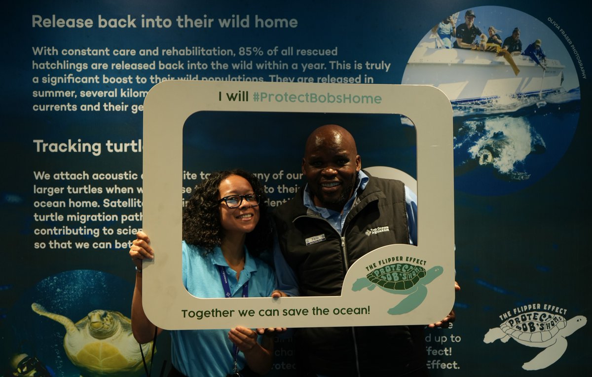 2OceansAquarium's tweet photo. We're SUPER excited for Bob's release! 😃🐢 Let's remember to protect his home and make sure that it's safe for him and all other marine wildlife for years to come! 💙 #TheFlipperEffect #ProtectBobsHome https://t.co/b0tNkbkmMH