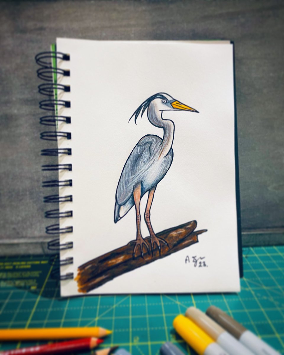 Heron drawing - Copics, Pencils, Fineliners!
✍️✏️📒

#art #doodle #doodleart #doodleoftheday #cartoon #drawing #sketch #drawingsketch #workinprogress #aseart23 #wildlife #wildlifedrawing #cartoon #heron #cartoonheron #cartoonbird #birddrawings #nature #birdart