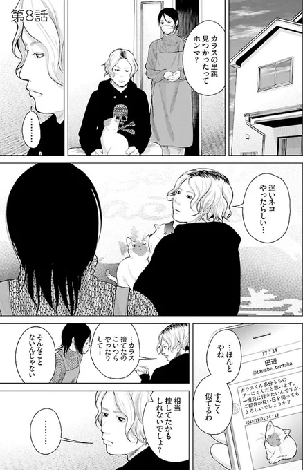 拾ったネコが迷い猫だった話 
